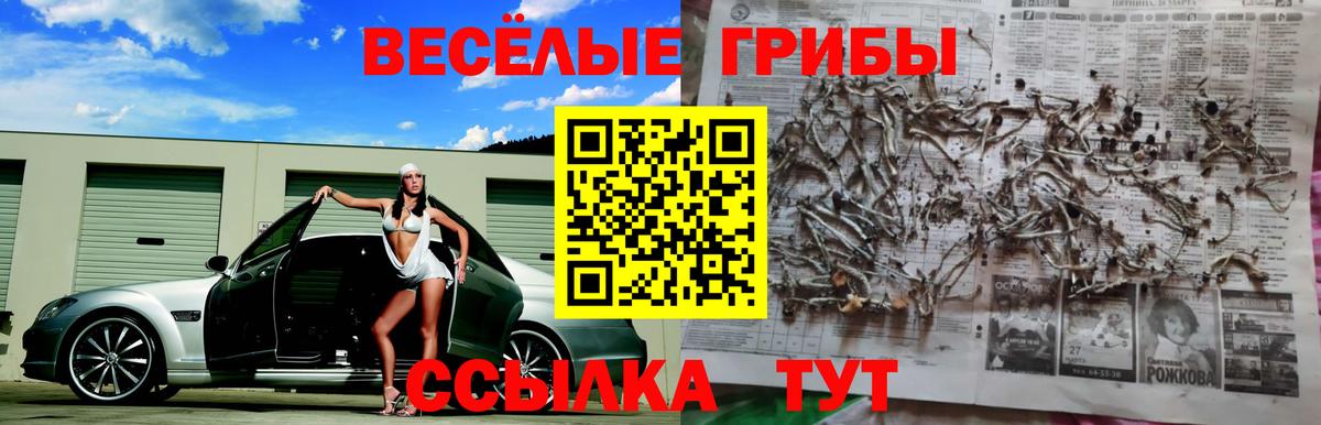 Моздок  Псилоцибиновые грибы прущие грибы  Галлюциногенные грибы GOLDEN TEACHER  Вход с VPN 